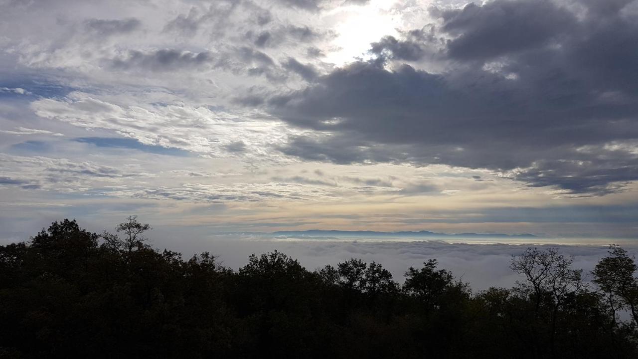 Domaine Du Haut-Koenigsbourg Orschwiller Dış mekan fotoğraf