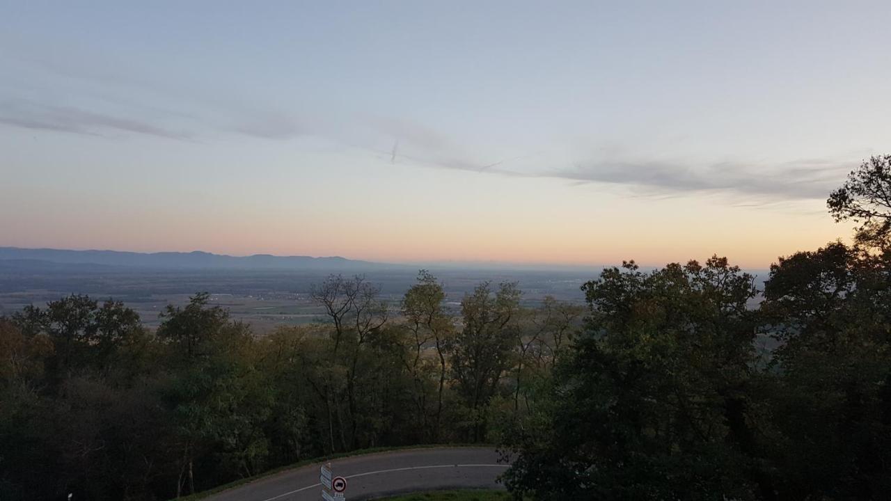 Domaine Du Haut-Koenigsbourg Orschwiller Dış mekan fotoğraf