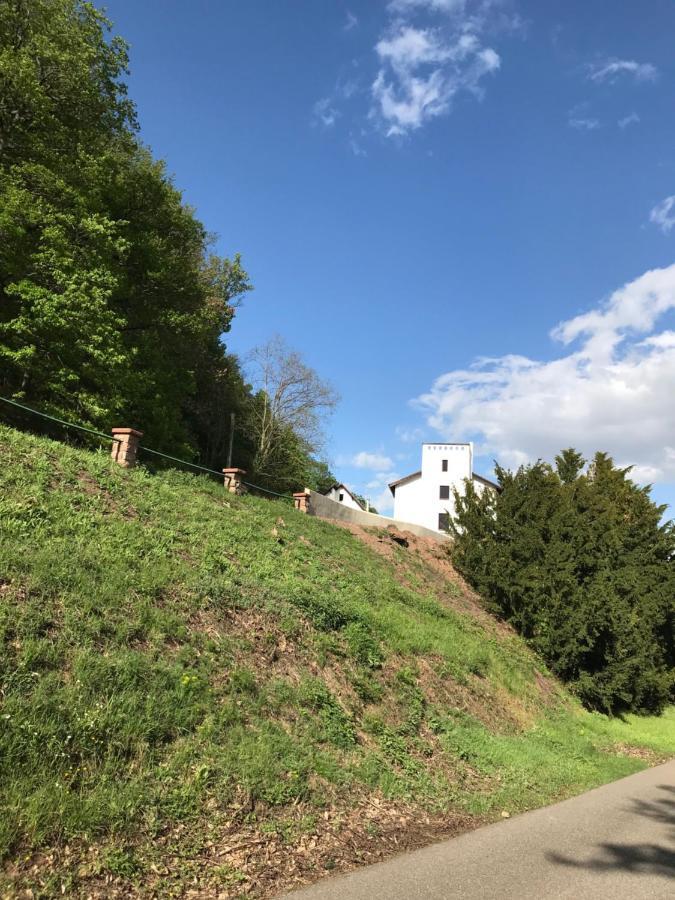 Domaine Du Haut-Koenigsbourg Orschwiller Dış mekan fotoğraf